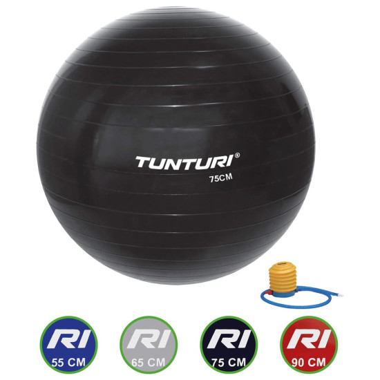 Tunturi Μπάλα γυμναστικής 75cm